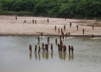 Half of uncontacted Indigenous tribes “might be worn out” in 10 years, report says. Here is what to know. Half of uncontacted Indigenous tribes “might be worn out” in 10 years, report says. Here is what to know.