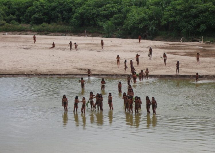 Half of uncontacted Indigenous tribes “might be worn out” in 10 years, report says. Here is what to know. Half of uncontacted Indigenous tribes “might be worn out” in 10 years, report says. Here is what to know.