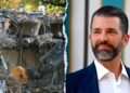 Trump Jr. defends father’s White Home ballroom plan amid criticism Trump Jr. defends father’s White Home ballroom plan amid criticism