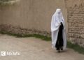 Taliban orders ladies to put on burkas to entry hospitals, MSF says