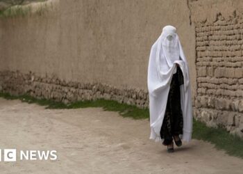 Taliban orders ladies to put on burkas to entry hospitals, MSF says