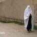 Taliban orders ladies to put on burkas to entry hospitals, MSF says