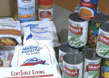 Gov. Gordon indicators orders to guard Wyoming meals entry