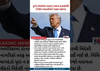 World Information: Donald Trump 2025માં અલગ અલગ કારણોથી 2790 ભારતીયોને પાછા ધકેલ્યા | Gujarati information 16