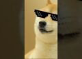 The parable the legend DOGE! #3d  #singersongwriter #originalsong #beats #doge  #enjoyable #memereset #memes