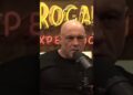 Joe Rogan Talks Ai Security With Elon Musk it Can’t Be Managed