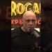 Joe Rogan Talks Ai Security With Elon Musk it Can’t Be Managed