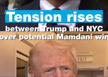 Pressure rises between Trump and NYC over potential Mamdani win • FRANCE 24 English
