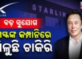 Particular Report: Elon Musk’s Starlink Begins Hiring in India | Excessive Wage Jobs in Bengaluru Particular Report: Elon Musk’s Starlink Begins Hiring in India | Excessive Wage Jobs in Bengaluru