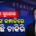 Particular Report: Elon Musk’s Starlink Begins Hiring in India | Excessive Wage Jobs in Bengaluru