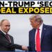 Vladimir Putin LIVE | Trump Indicators Orders LIVE | Putin Accepts Trumps Supply; US To Ditch Zelensky? Vladimir Putin LIVE | Trump Indicators Orders LIVE | Putin Accepts Trumps Supply; US To Ditch Zelensky?