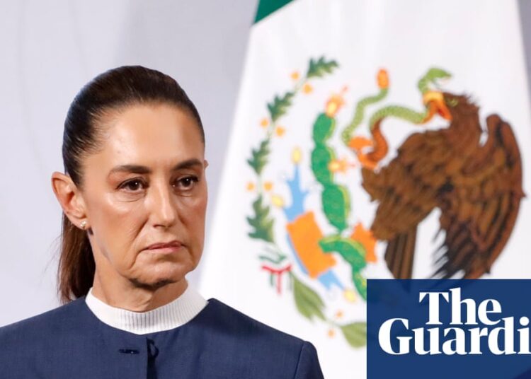 Mexican ladies outraged by public sexual assault on their president | Mexico