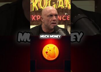 Elon Musk Knew About Dogecoin All Alongside! #joerogan #elonmusk #podcast #debate #dogecoin