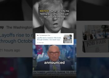 WATCH: Trump can’t repair his failing economic system so he simply lies about it as an alternative