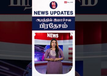 துப்பாக்கியுடன் பீகாரிகள்..சர்ச்சை பேச்சால் பரபரப்பு..!😱 | MODI | DONALD TRUMP | BIHAR | Prime 5 Information