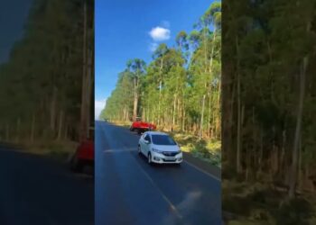 Govt Orders are Already Being Executed at Mau Forest!