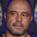 When Joe Rogan Realizes Elon Musk Has Misplaced His Thoughts