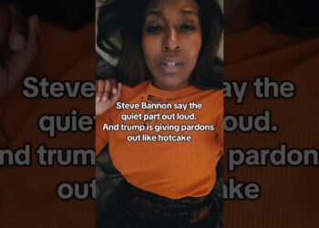 Steve bannon mentioned the quiet half out loud. #stevebannon #trump