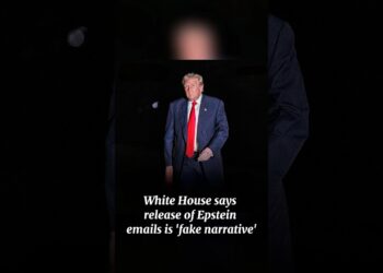 White Home says launch of Epstein emails is 'pretend narrative' #information