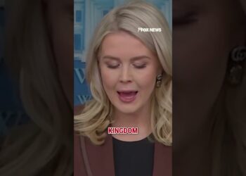 Leavitt: BBC is a 'LEFTIST PROPAGANDA MACHINE' #fox #media #breakingnews #us