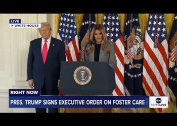 Trump Indicators Govt Order Amid Epstein E mail Fallout | Maddow Evaluation