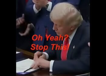 WATCH: Trump indicators government orders on the White Home