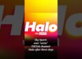 Sky Sports activities axes ‘sexist’ TikTok channel Halo after three days #information