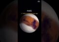 THE EVOLUTION OF MARS ! #science #sciencefacts #spacex #galaxy #nasa #astronomy #shortsviral
