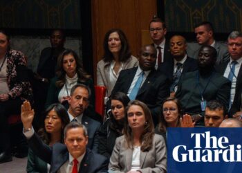 UN safety council votes to endorse Donald Trump’s Gaza plan | United Nations