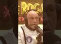 Joe Rogan Breaks Down the BBC vs Trump Drama 🔥
