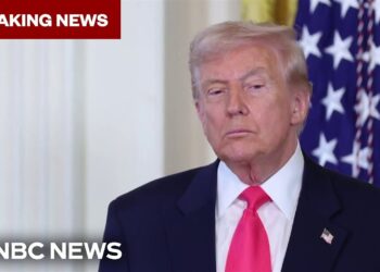 BREAKING: President Trump indicators invoice to launch Justice Division's Epstein recordsdata