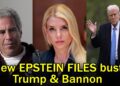 The Message That Terrified Trump Secrets and techniques of the Secret Alliance Between Bannon and Epstein!