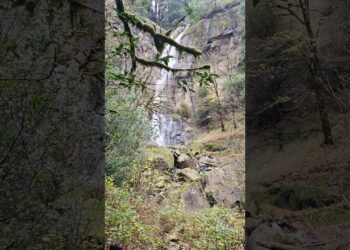 making an attempt out Starlink Mini on the falls