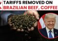 Donald Trump Indicators Order Lifting Tariffs on Brazilian Beef, Espresso