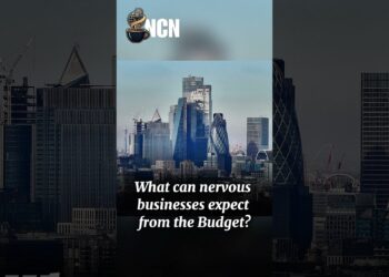 What can nervous companies anticipate from the Funds? #information