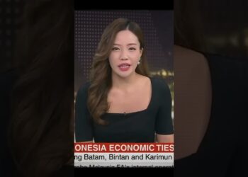 Prabowo’s Starlink Snub: The Way forward for Indonesia’s Web?