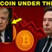 Trump, Bitcoin, and Energy: What Govt Orders Actually Imply for You