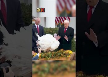 দুই টার্কি মুরগিকে আনুষ্ঠানিকভাবে ‘ক্ষমা’করলেন ট্রাম্প  | Donald Trump | Worldwide Information