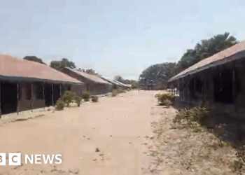 Nigeria sees considered one of worst mass abductions as 315 taken from faculty