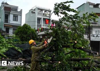 Hurricane Kalmaegi kills three in Vietnam after leaving 114 lifeless in Philippines Hurricane Kalmaegi kills three in Vietnam after leaving 114 lifeless in Philippines