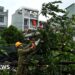 Hurricane Kalmaegi kills three in Vietnam after leaving 114 lifeless in Philippines
