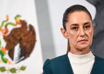 Mexico President Claudia Sheinbaum groped by man in road, says she has pressed fees