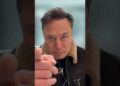 Elon Musk Sends A CLEAR And Highly effective Message To These Who Had been Violent In direction of Tesla House owners And Him