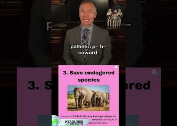 Elon Musk Mocks Billie Eilish After She Referred to as Him a ‘Pathetic Coward’ #elonmusk #billieeilish