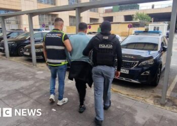 Chief of Ecuador’s Los Lobos medication gang captured in Spain Chief of Ecuador’s Los Lobos medication gang captured in Spain