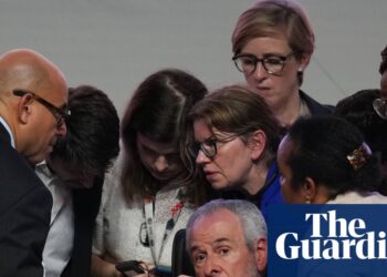 Finish of fossil gas period inches nearer as Cop30 deal agreed after bitter standoff | Cop30