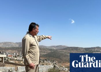 ‘Olives are all the pieces for us’: West Financial institution farmers prevented from harvesting by settler violence | West Financial institution