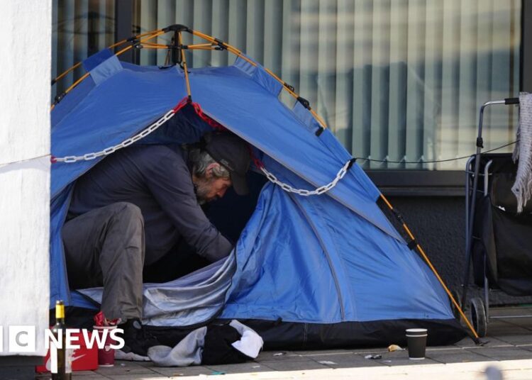 Homelessness figures larger than knowledge suggests, analysis exhibits
