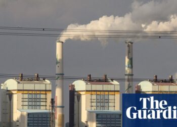 Cop30: dozens of nations threaten to dam decision except it incorporates roadmap to fossil gasoline phase-out | Cop30