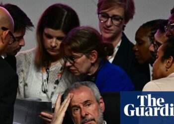 UN warns world dropping local weather battle however fragile Cop30 deal retains up the battle | Cop30 UN warns world dropping local weather battle however fragile Cop30 deal retains up the battle | Cop30